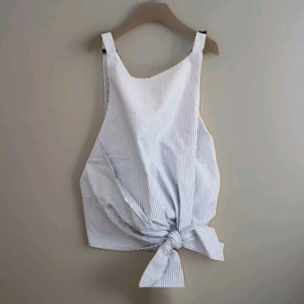 Zara Light Blue Striped Crop Top